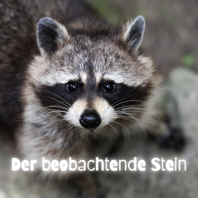 Fantasiereise "Der beobachtende Stein"