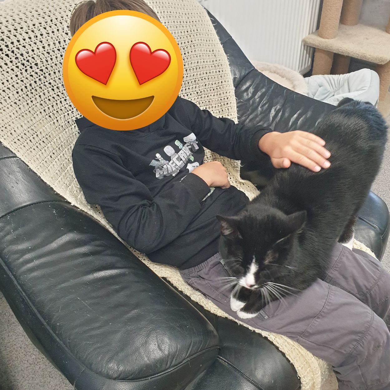 Besuch im Tierheim Hanau (1)