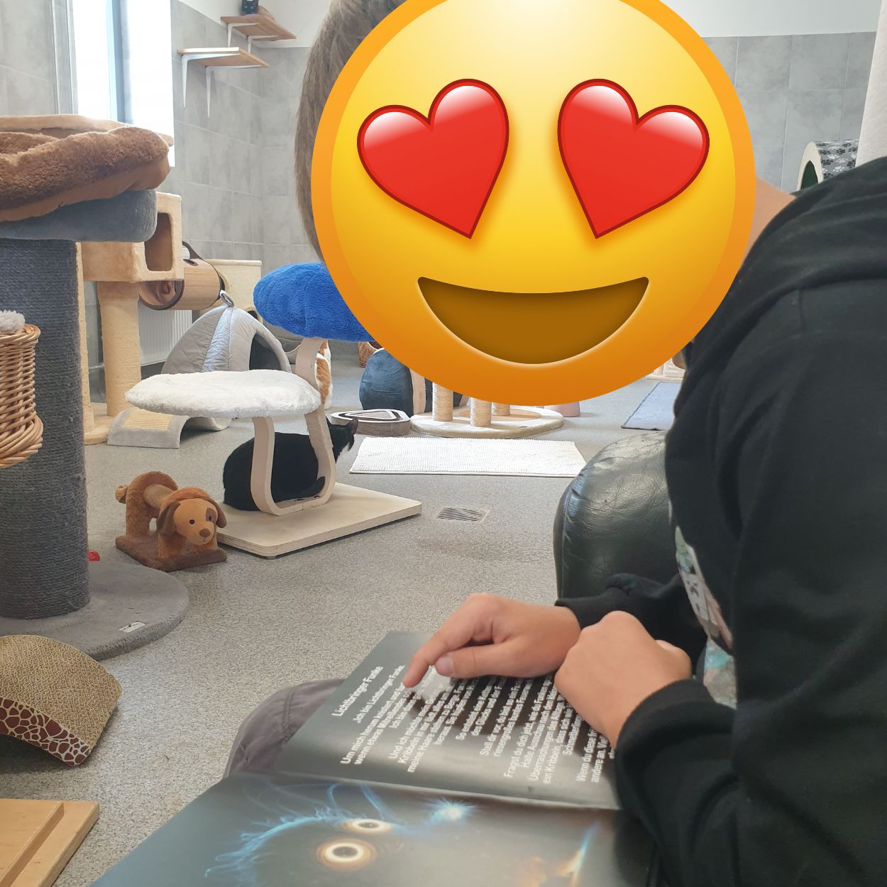 Besuch im Tierheim Hanau (3)