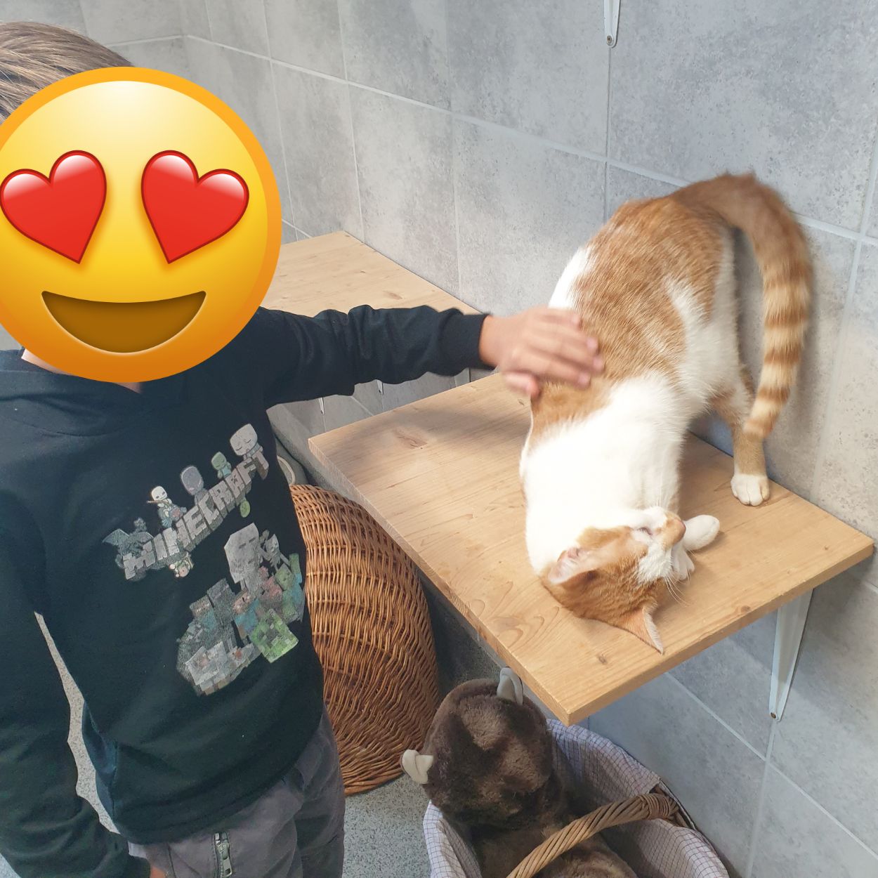 Besuch im Tierheim Hanau (4)