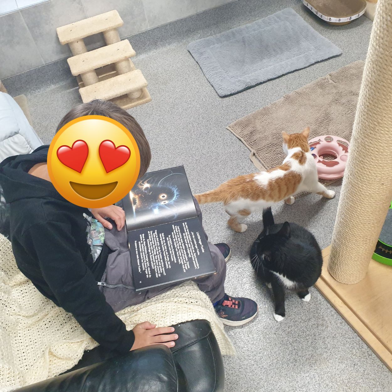 Besuch im Tierheim Hanau (5)