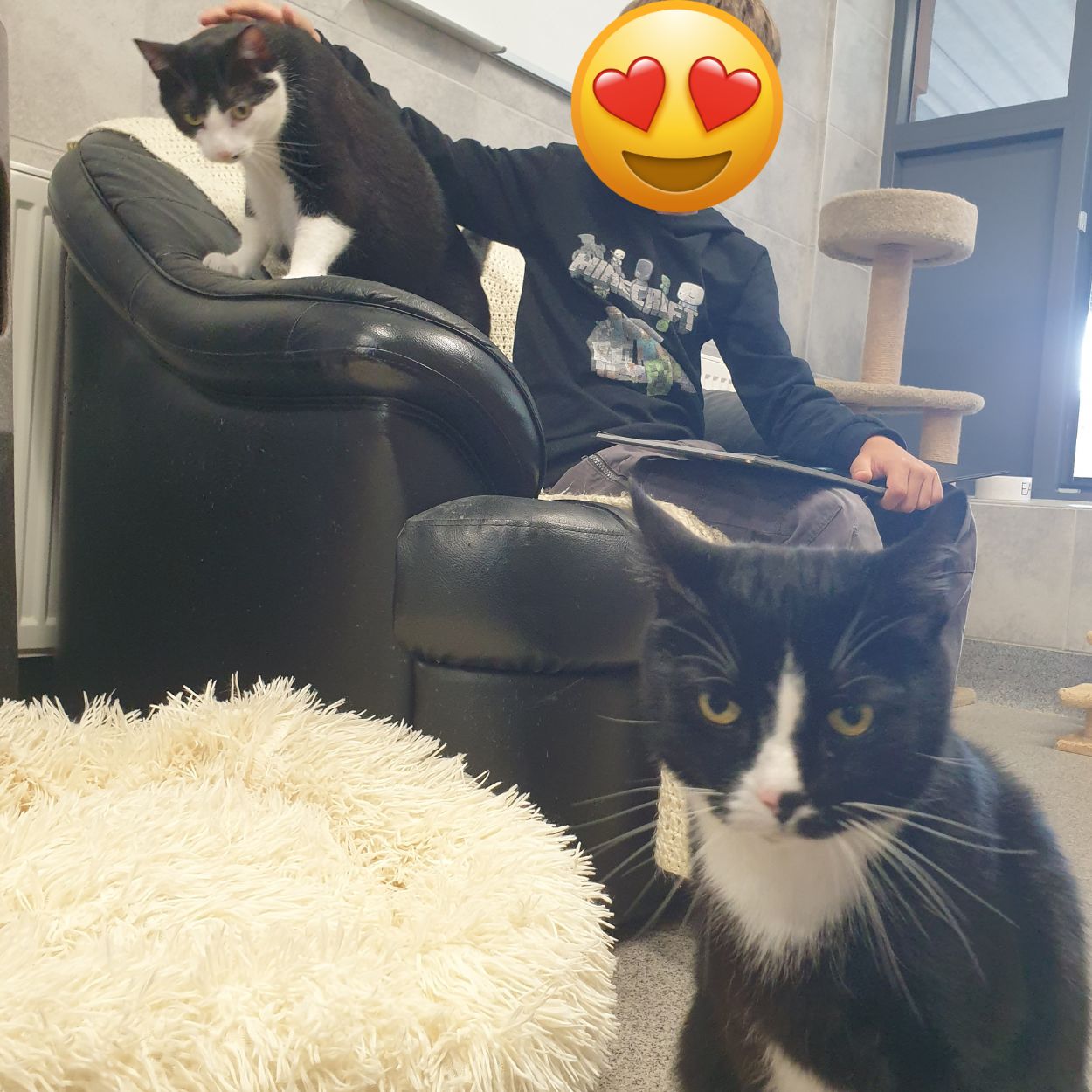 Besuch im Tierheim Hanau (7)
