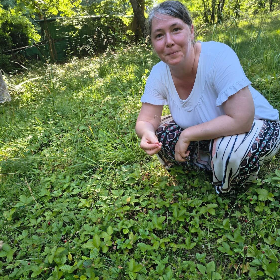 Elke hockt im Walderdbeeren-Teppich