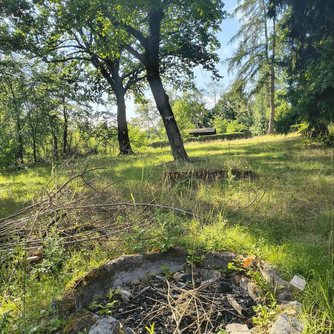 Blick über Feuerstelle und Hochbeet