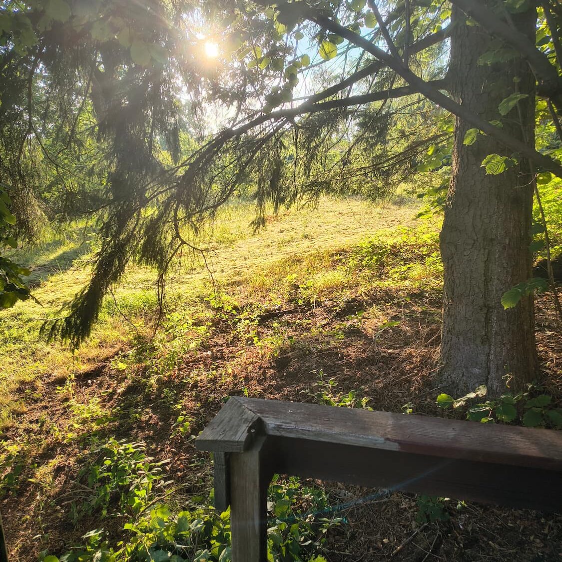 Blick von der Veranda