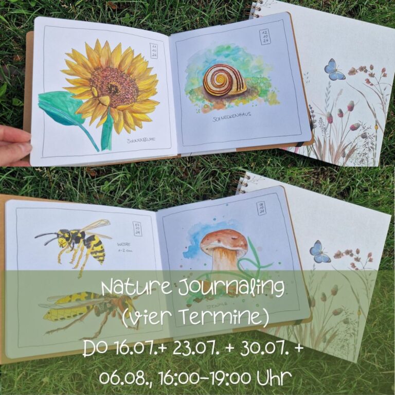 Nature Journaling