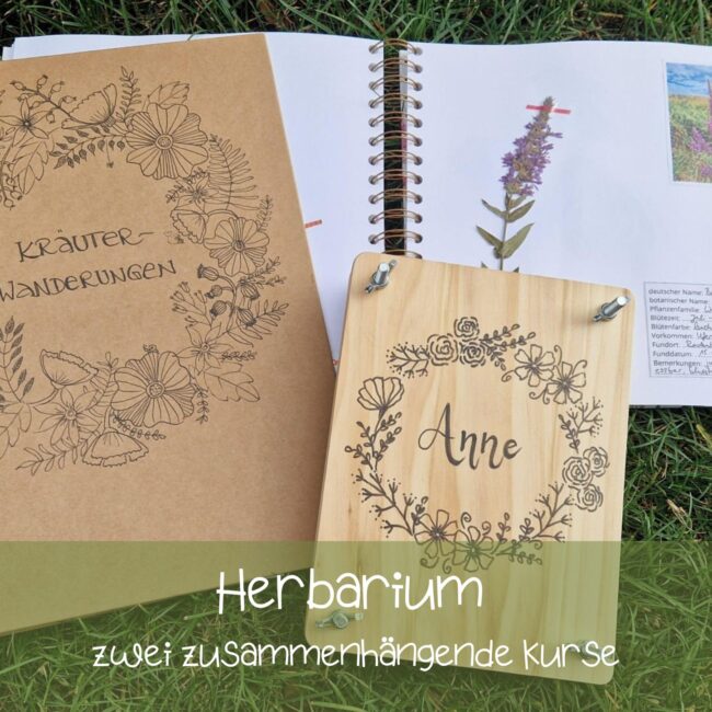 Termine Waldzauber Rodenbach Herbarium HP