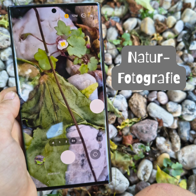 Termine Waldzauber Rodenbach Naturfotografie