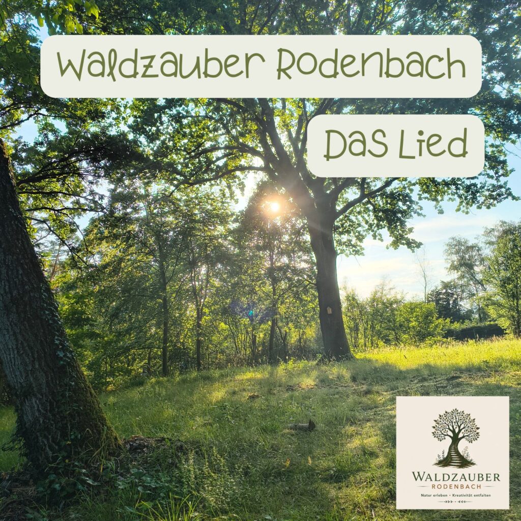 Das Lied über uns und den Waldzauber Rodenbach in vier Varianten